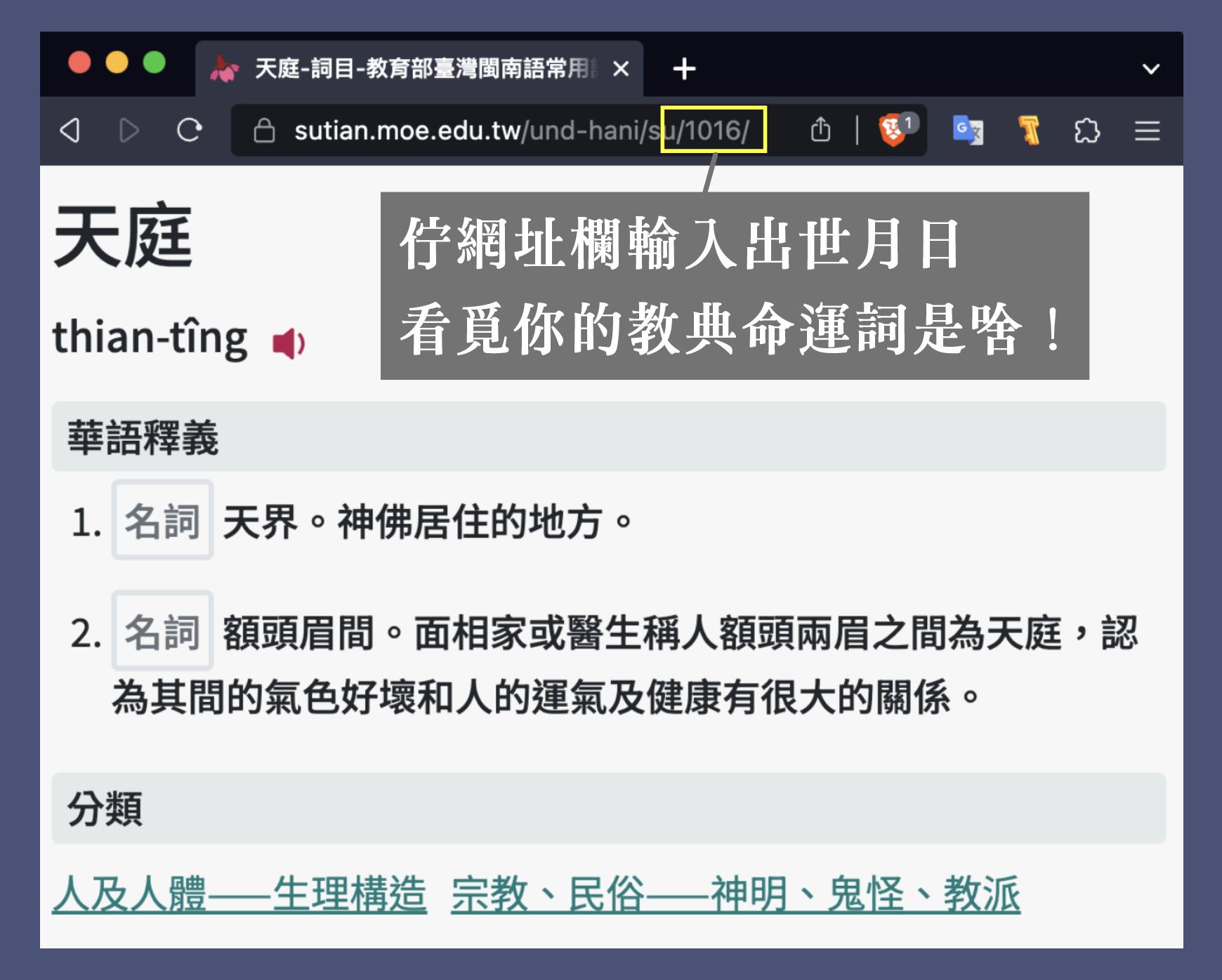 教典相命術——揣著你的教典命運詞
